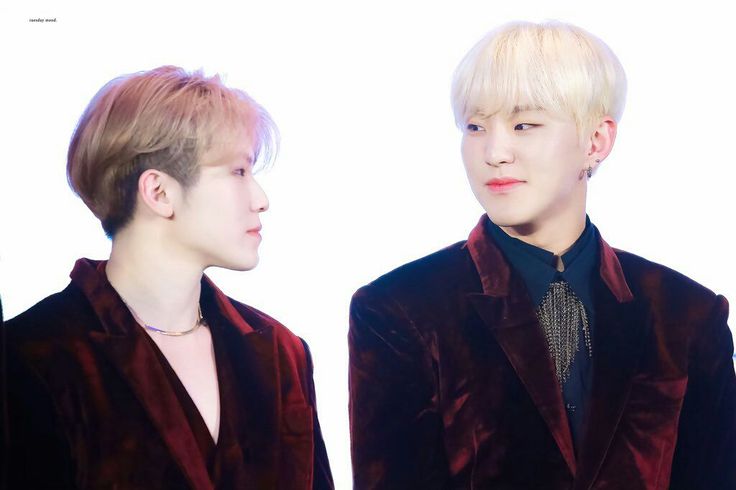 SEVENTEENが日本のK-POPシーンを席巻！2026年も止まらない13人の快進撃